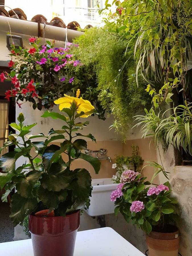 Ca' Malatin Villa Венеция Екстериор снимка